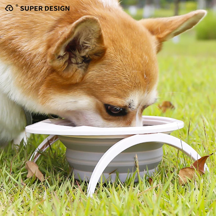 760ml Pet Portable Travel Bowl Custom Brand Pet Dog Food Water Feeder