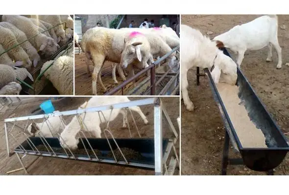 1米绵羊喂食器山羊养殖设备牲畜饲料槽牛绵羊喂马工具塑料山羊喂食器