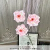 XMR-3-head Diamante Rosa Rosado