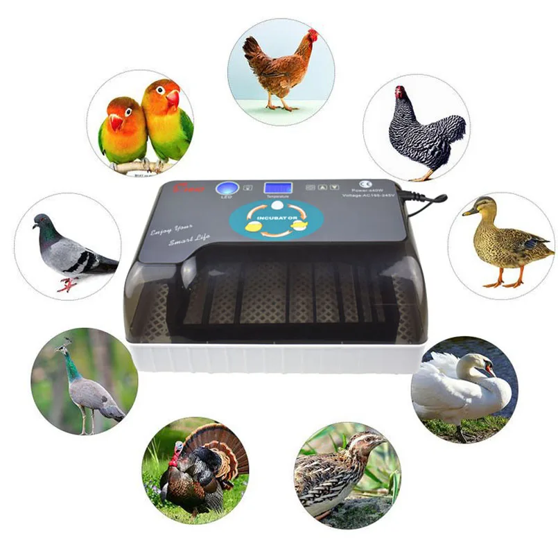 Produktbild von Digitaler Brutkasten Für 12 Eier – Automatisches Wenden, Temperatur- & Feuchtigkeitsregelung, LED-Display