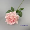 Grande Rose à Cornes - Rose Chair