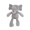 Elefante grigio dalle gambe lunghe