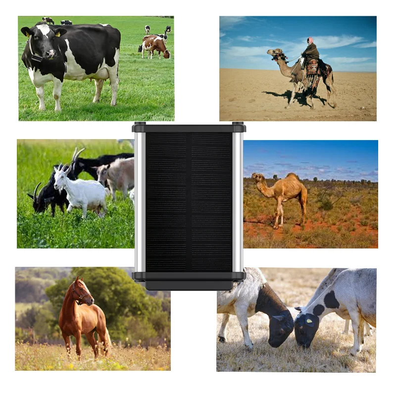 Solar Goat GPS tracker with App and Collar GPS Tracking tracker Earrings Gps-in-necklace Tracking Strips
