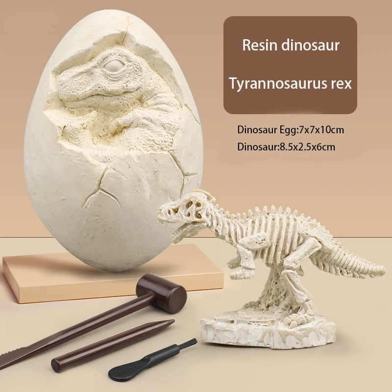 Archaeology Dinosaur Eggs Excavation Fossils Digging Set Paleontology Toy For Kids Buy