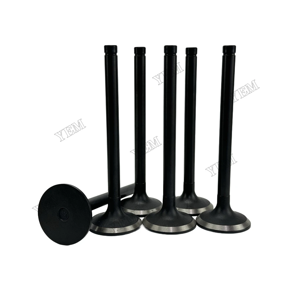 Intake and Exhaust Valve Fit for Hino EK100 Engine 6