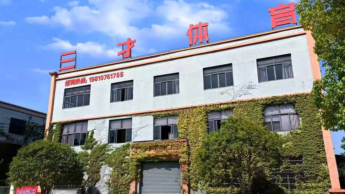 Company overview