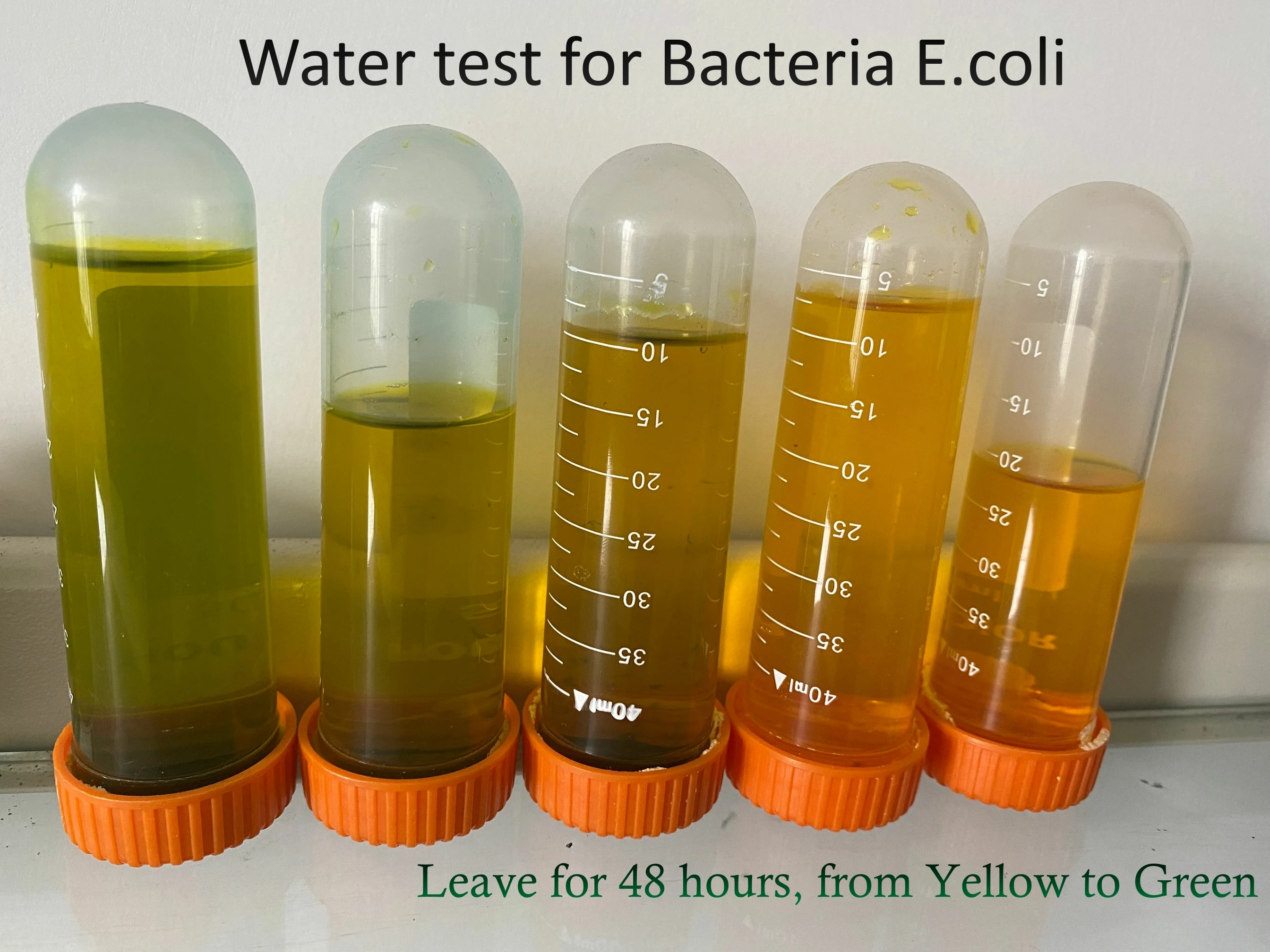 Escherichia E.coli Test Kit For Drinking Water Test,Wells,Pools,Hot