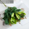 Jade Leaf
