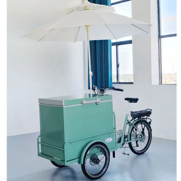 Direct Source  ODM&OEM Manufacturer Tricycle Cargo Bike 24''  Freezer Bicycle Vending Cart