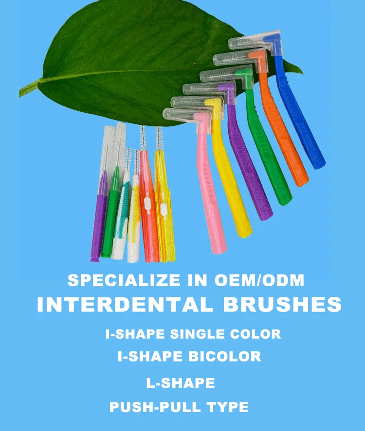 Eco Friendly Bamboo Biodegradable Interdental Brush Toothpick Bamboo