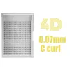 4D 0.07 C (354 fans)