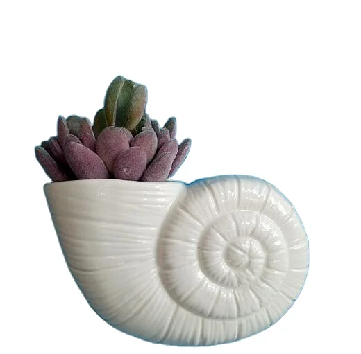 Porcelain Spiral Shell Wall Flower Vase Hydroponics Plants Holder Wall Mounted 