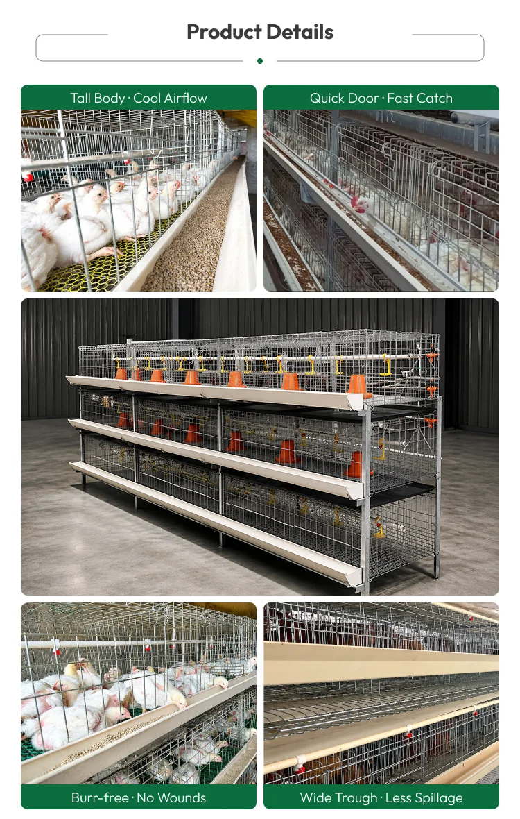 H-Frame Automatic Broiler Cage