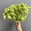 Menta