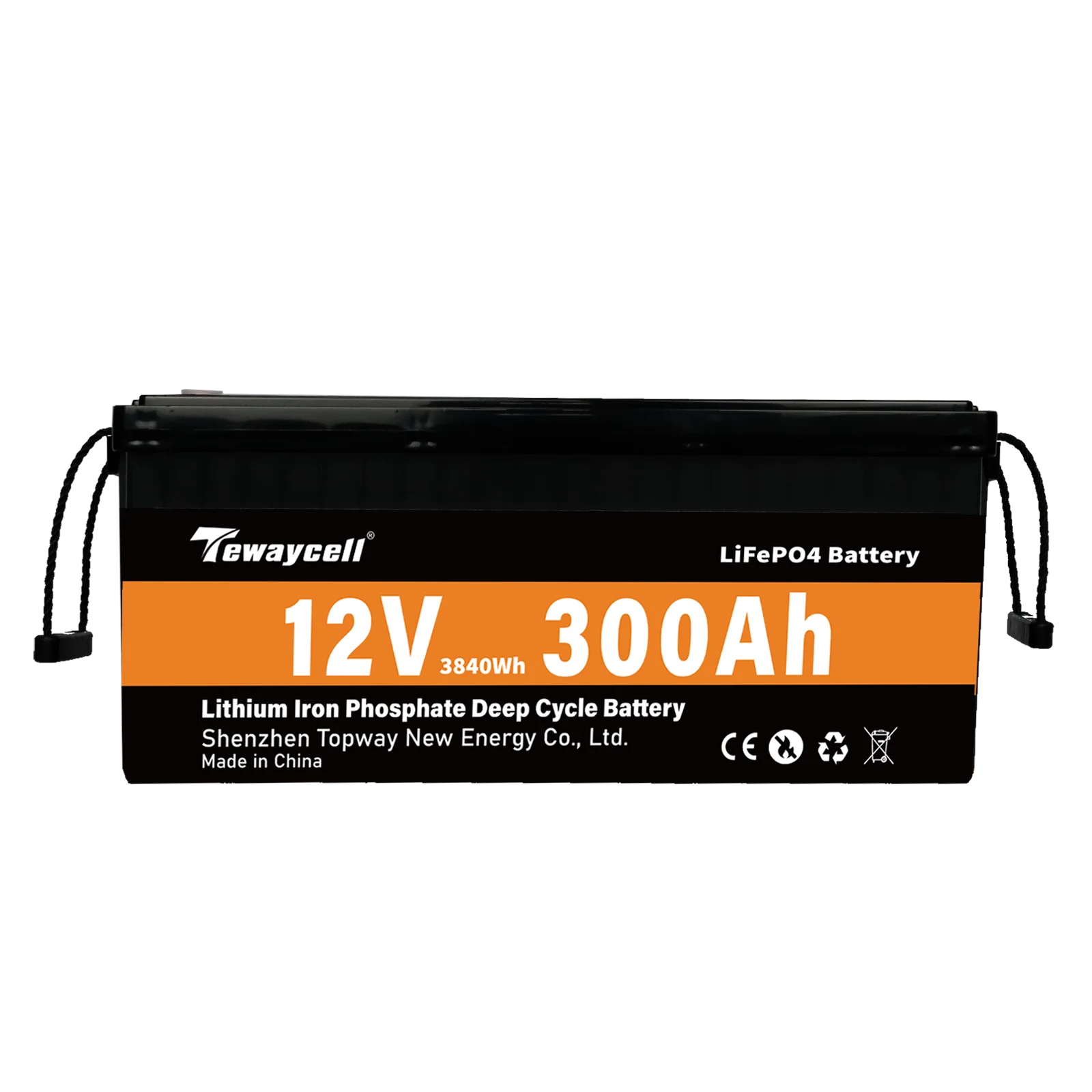 Tewaycell High Capacity LiFePO4 Battery Pack 12V 24V 36V 48V 50ah 100ah 150ah 200ah 300ah for Golf Cart