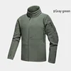 Gris vert