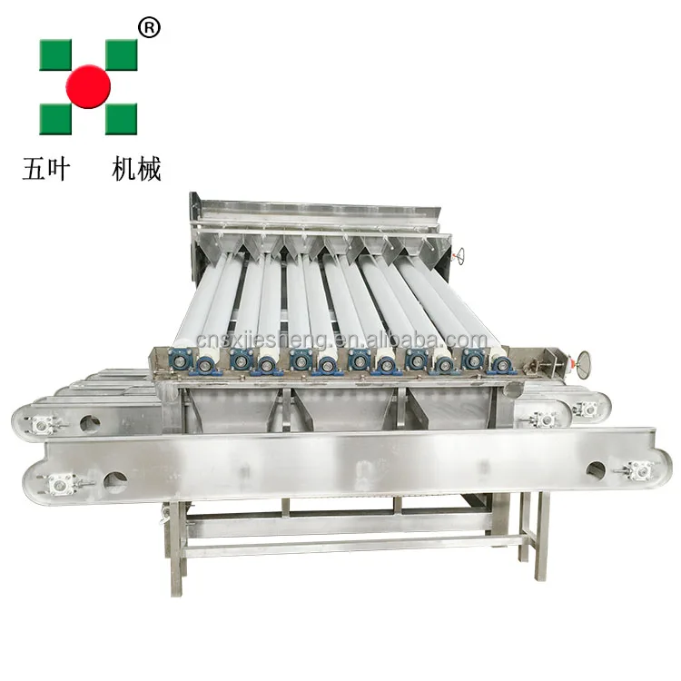 Shrimp Cleaning&Grading Machine Separator Grader Machine for Shrimp Production LineFood Processing Machine