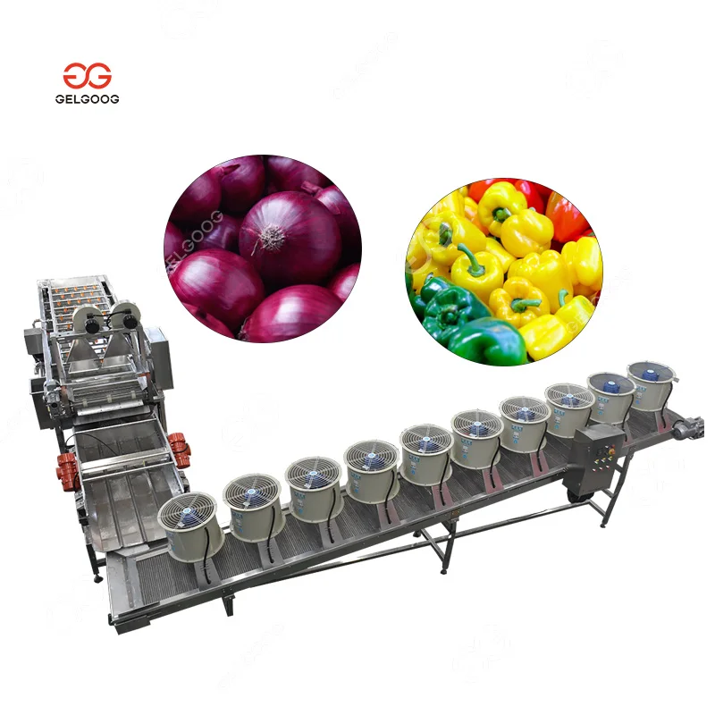 Bubble Water Organic Vegetable Washing Machine Bubble Cleaning Fruit Cleaning Tank for Onion