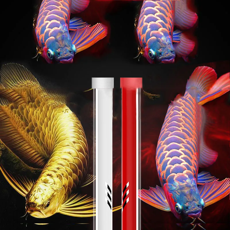 Mayin Arowana Hair Color Lamp 13000K - Bright LED Aquarium Light