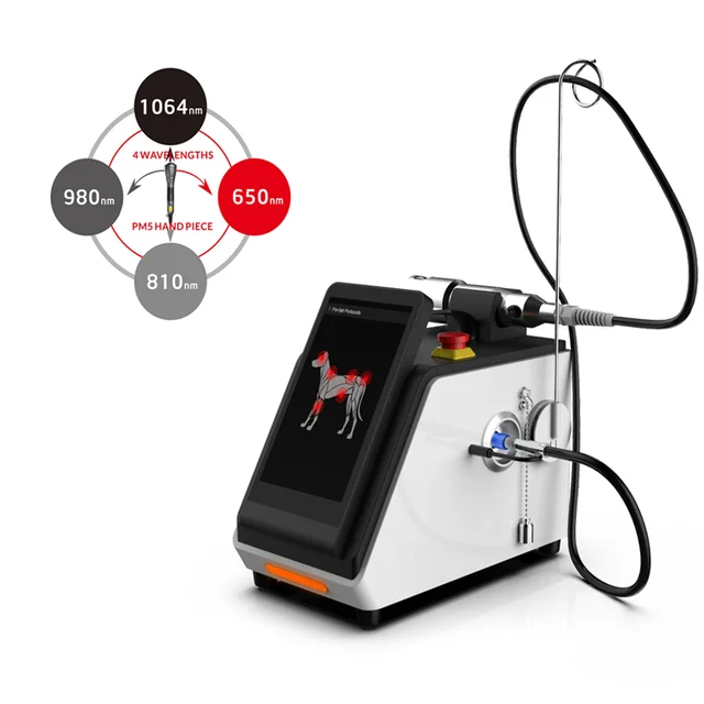 650nm 810nm 980nm 1064nm 4 Wavelengths Vet Laser Therapy Equipment Veterinary Instrument GIGAA Laser for Veterinary