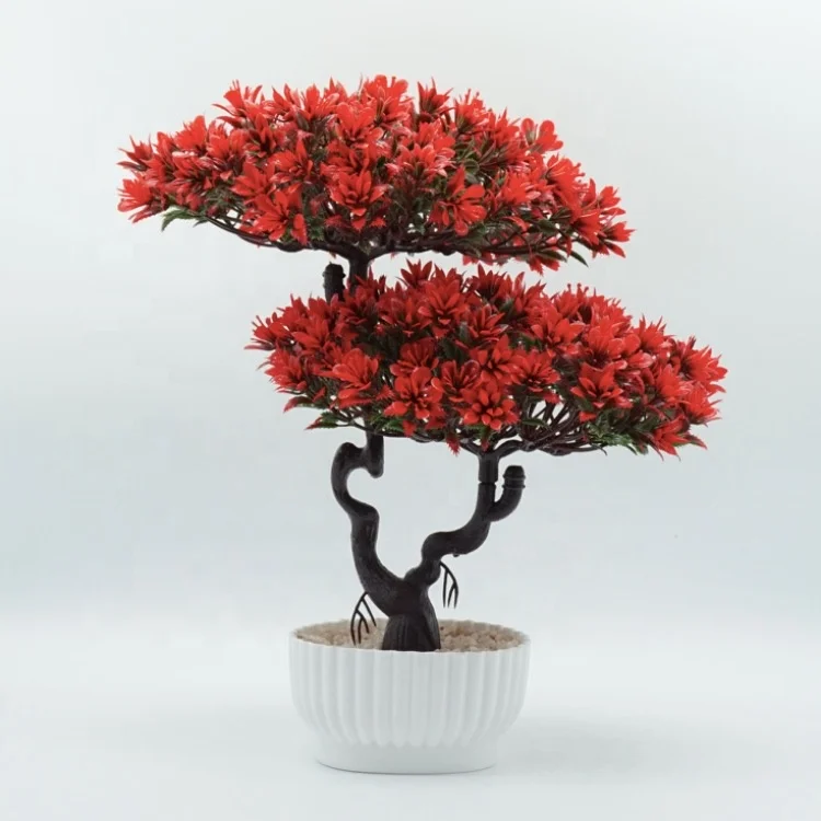 dedeman bonsai Jean’s Dilly Alberta Spruce main image 0