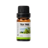 Árbol de té