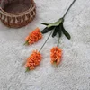 Warm orange