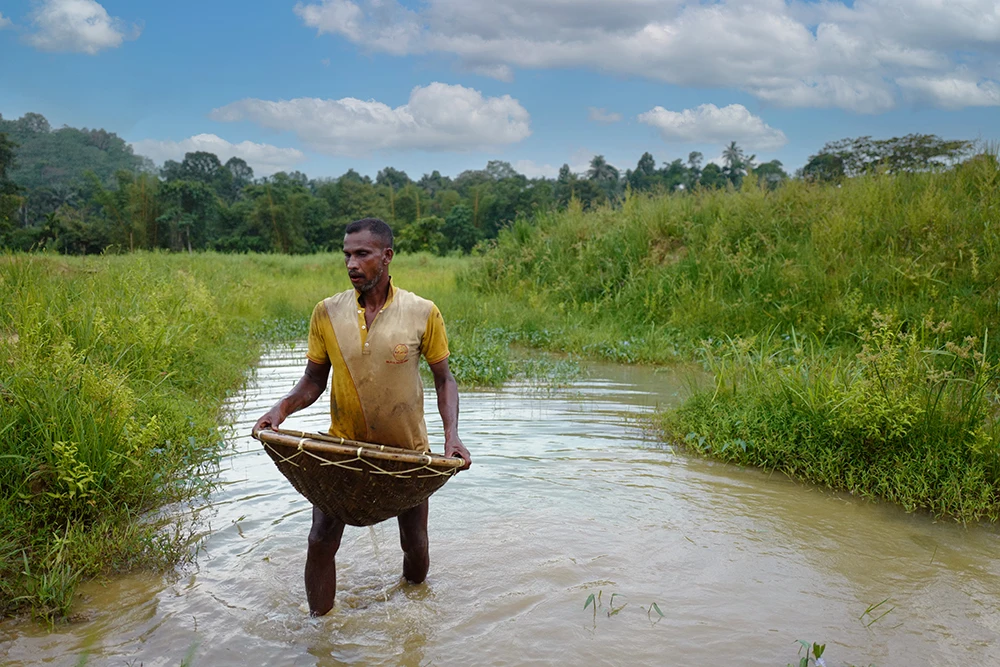 sapphire-fair-ethical-gemstones-garnet-color-pearl-amethyst-fusion