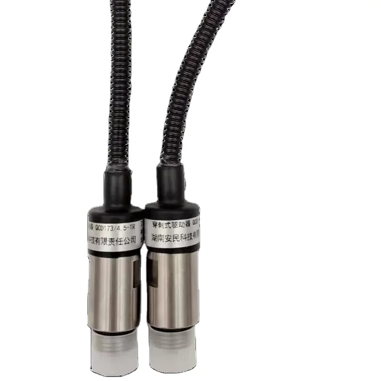 Electric Explosion Valve Key Component of New Energy Fire Extinguishing System Firefighting Equipment Accessory