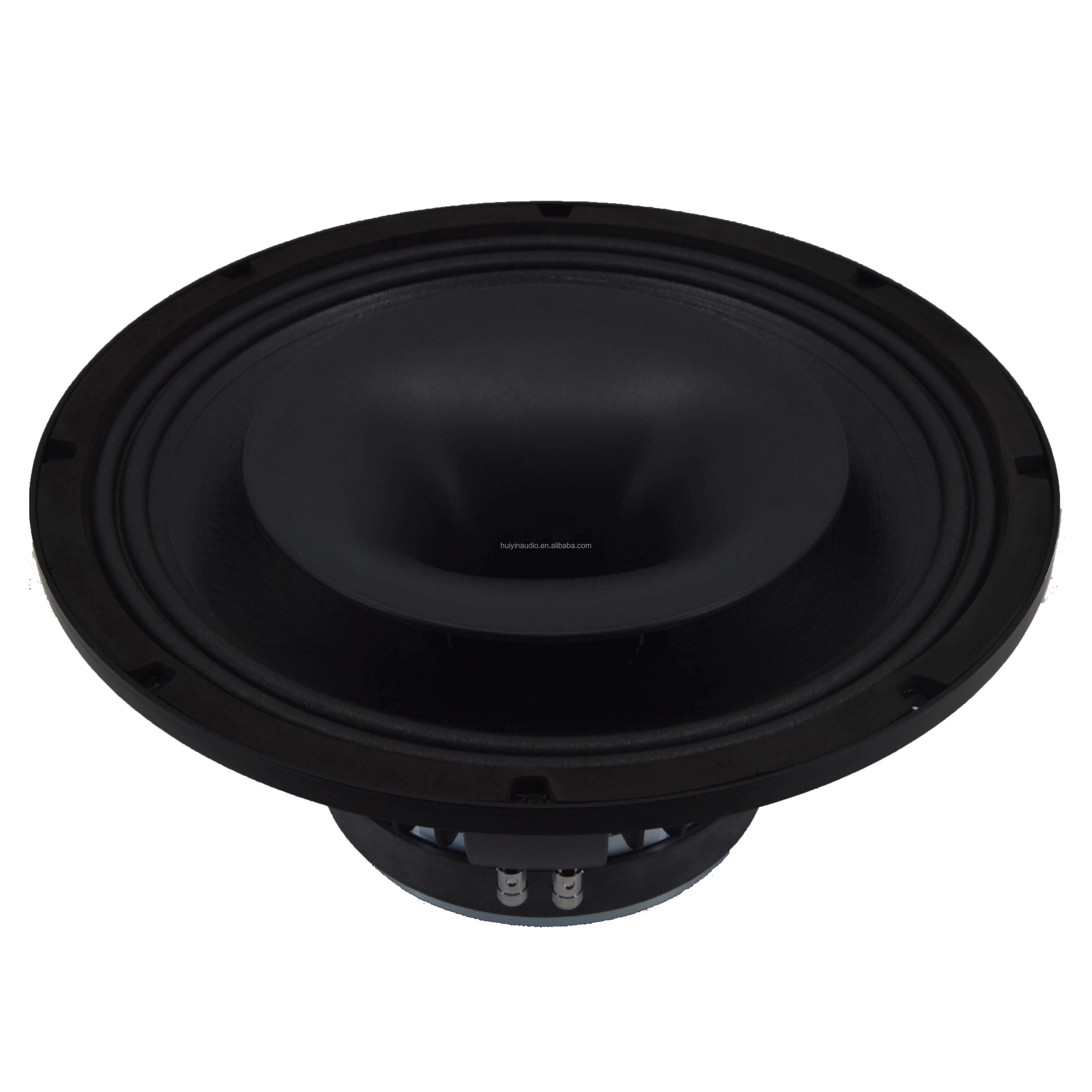 Professional-15-Inch-PA-