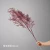 6-Fork Mist