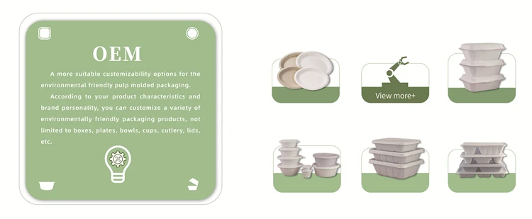 ECO-Friendly Extra Strength White Bagasse Cake Plates Biodegradable and Disposable