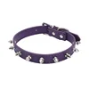 silver rivet purple