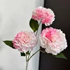 Rose foncé