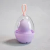 Coquille d'oeuf de beauté violette