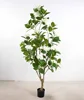 Vert 190cm