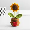 girasole marrone del marchio dell'amore