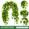 Adhesive tape, peach tree leaves and vines