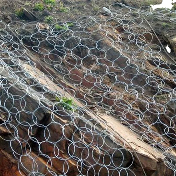 Landslide Prevention and Slope Protective Net Sns Slope Stability Wire Mesh