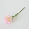 Rose foncé