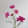 Rose rouge cramoisi