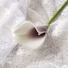 สี2