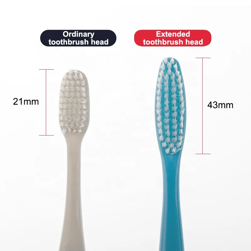 Big Head Toothbrush Export to South Korea Soft PBT Bristle Korean Long Head Plastic Toothbrush