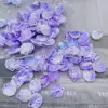 Aurore violet foncé