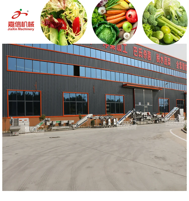 Industry used vegetable processing machine