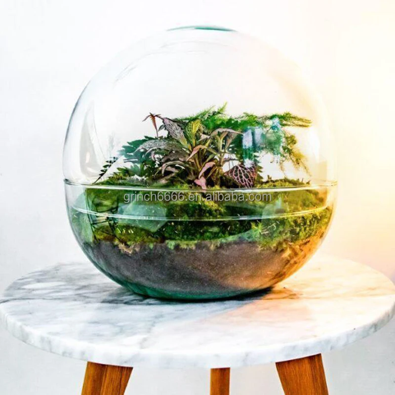 Domed Glass Terrarium Botanical Plants Vase Globe Terrarium Kit Buy