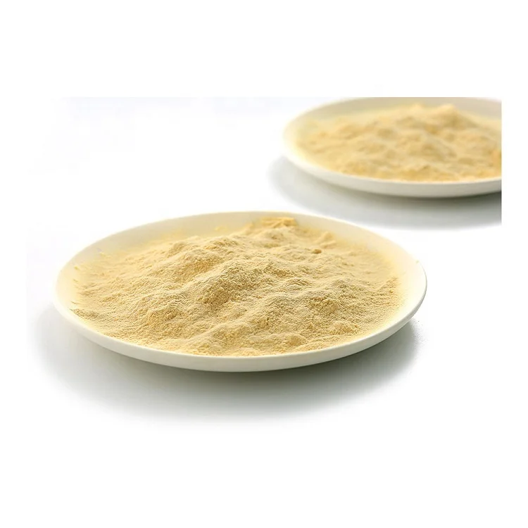 Bread Yeast Factory Active Dry Instant King Baker Baking Yeast Powder