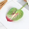 Single film anthurium green no. 2