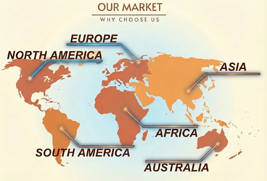 Why Choose Us