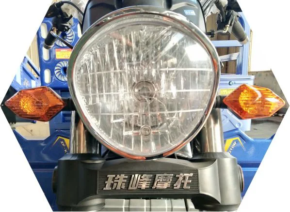 Wind Cooled Three Wheeler Tricycle Loader Hybrid 200cc 3 Wheel Motorcycle